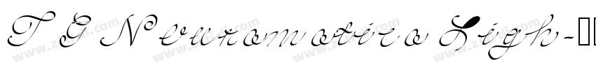 TG Neuramatica Ligh字体转换